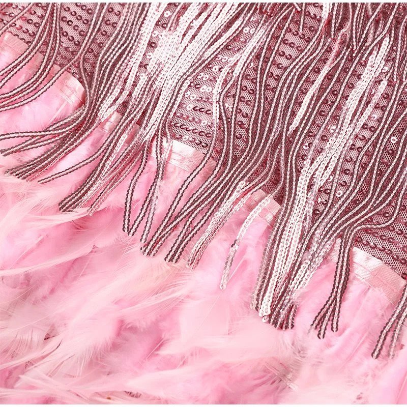 Quinnly | Party Dress with Feathers and Fringe