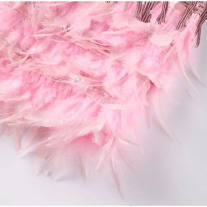 Quinnly | Party Dress with Feathers and Fringe